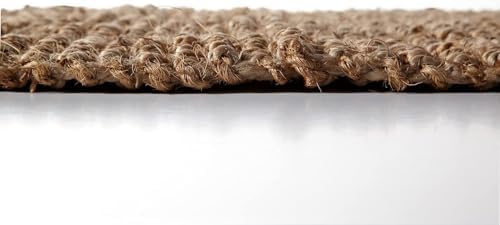 Irongate Jute Handspun Reversible Area Rug 24x36