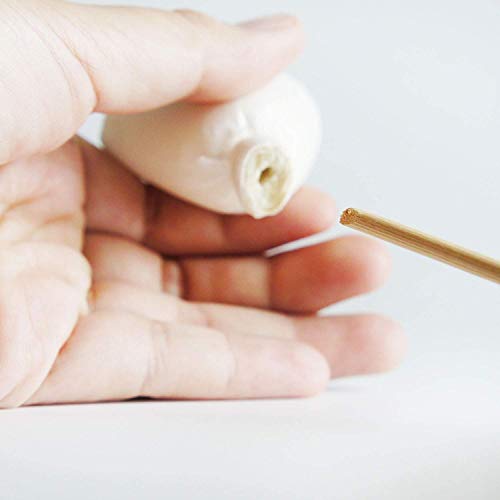 Mixed White Sola Flower with Cotton Wick Diffuser Set