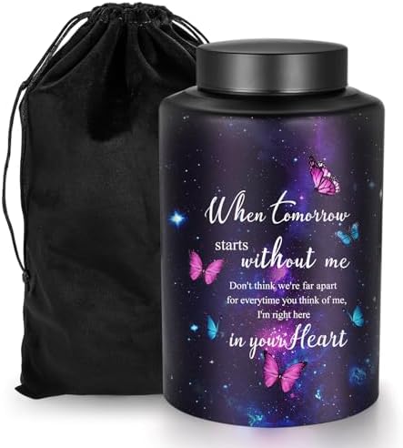 Abooxiu 10 Inches Purple Butterfly Cremation Urn for Human Ashes