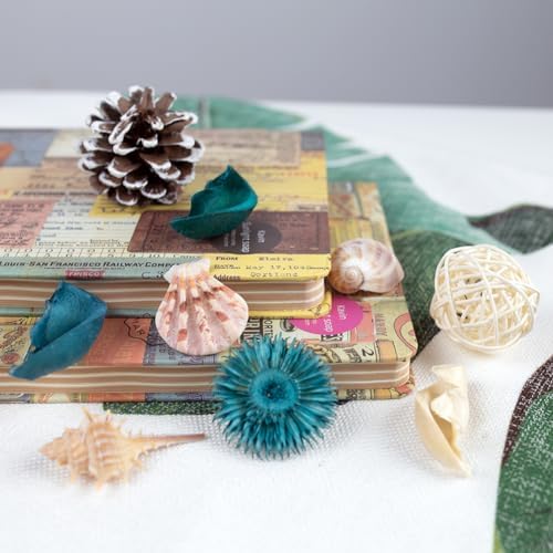 DomeStar Sea Shell Potpourri Bag Ocean Breeze Scented Decor