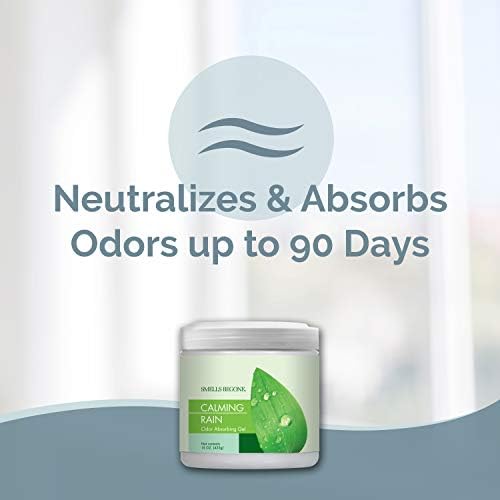 Smells Begone Odor Absorber Gel - 90 Day Fragrance