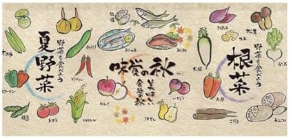 Japanese Sushi Bar Noren Curtain - 51x19 Inches Magnetic Style