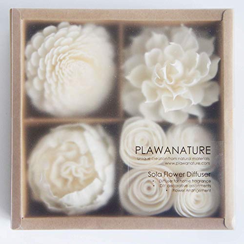 Mixed White Sola Flower with Cotton Wick Diffuser Set