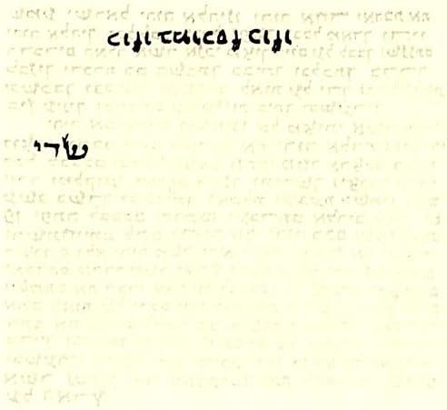 GAIBIJA 3 Non-Kosher Hebrew Parchment for Mezuzah