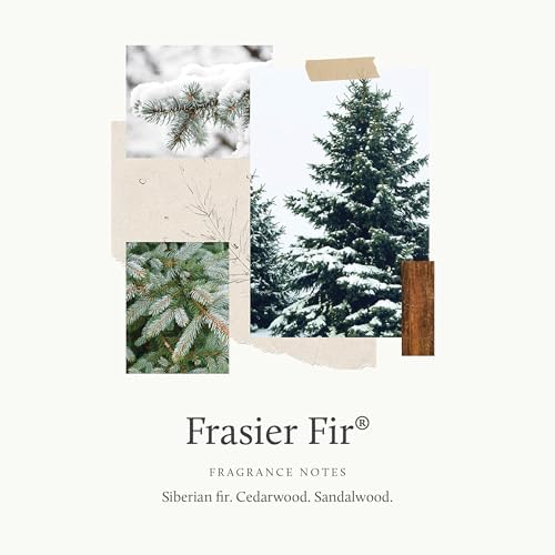 Thymes Reed Diffuser Oil Refill - Frasier Fir 775 Fl Oz