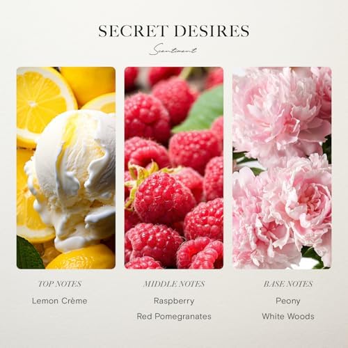 Scentiment Hotel Diffuser Oil Discovery Kit 5 Scents 20ml