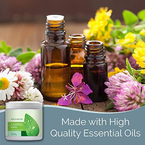Smells Begone Odor Absorber Gel - 90 Day Fragrance