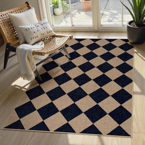 Lahome Checkered Jute Style Entry Rug 3x5 Black