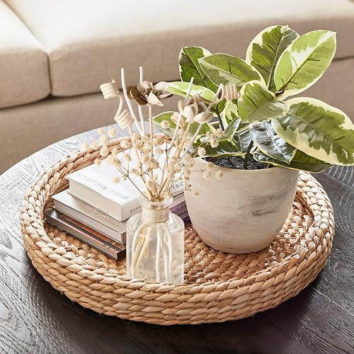 COCORRINA Reed Diffuser Sticks - White Floral Home Decor