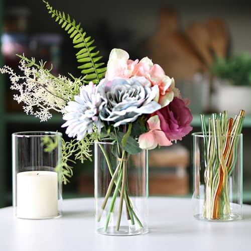 12Pcs Clear Glass Cylinder Vases for Centerpieces and Decor