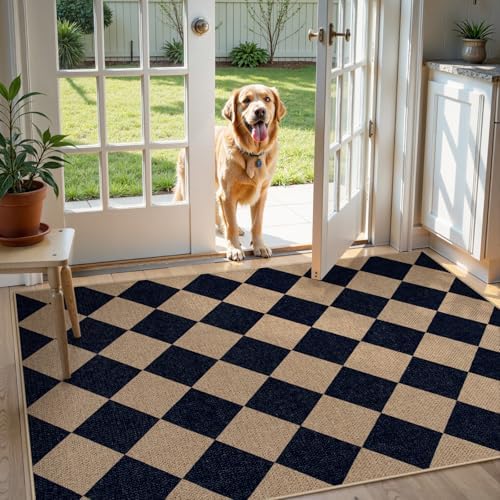 Lahome Checkered Jute Style Entry Rug 3x5 Black