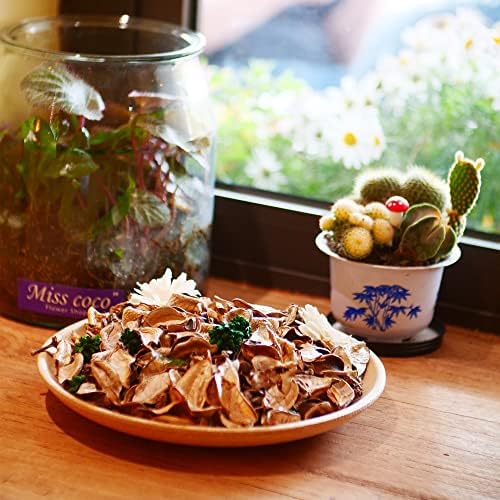 White Vanilla Scented Potpourri Bags - Mini