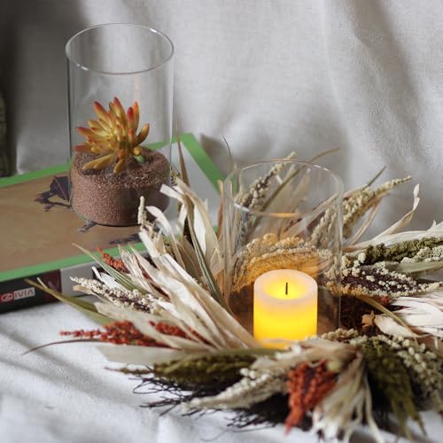 12Pcs Clear Glass Cylinder Vases for Centerpieces and Decor