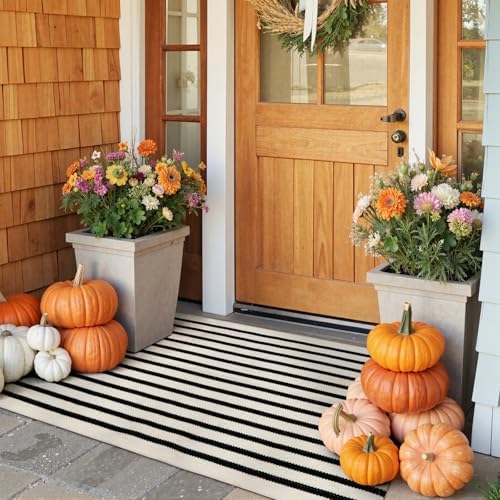 Collive Black and White Striped Outdoor Rug Door Mat 24x51