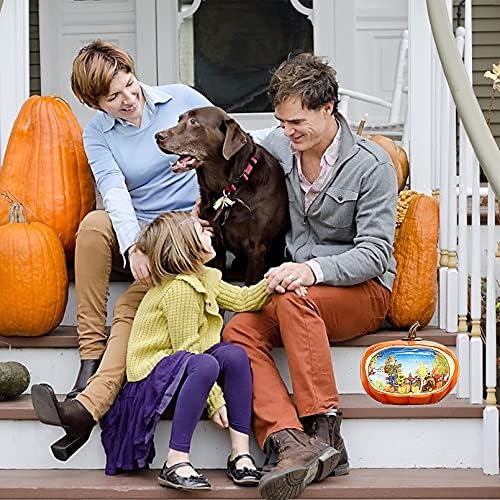 HOLYHOM Fall Decor Lighted Pumpkin Snow Globe