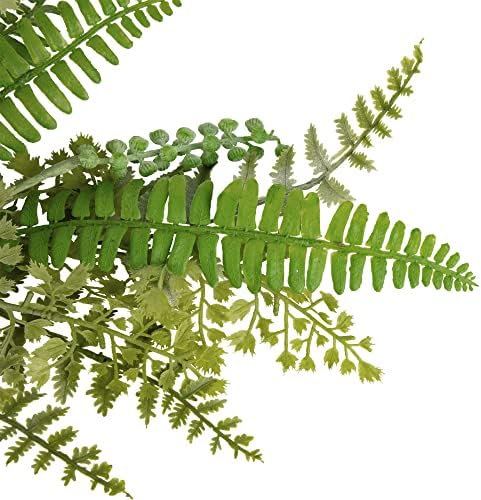 Northlight Fern and Succulents Artificial Spring Teardrop Swag 28 Inch