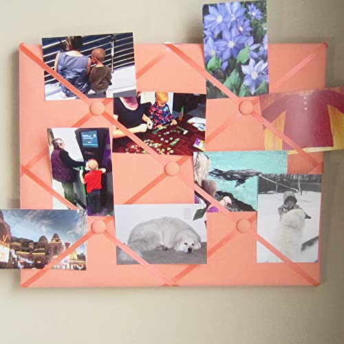 16x20 French Memory Board Creamsicle Peach 1