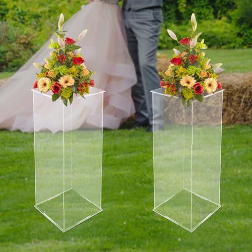 2 Pack Acrylic Pedestal Display for Home Decor