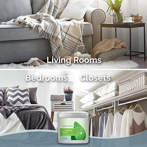 Smells Begone Odor Absorber Gel - 90 Day Fragrance