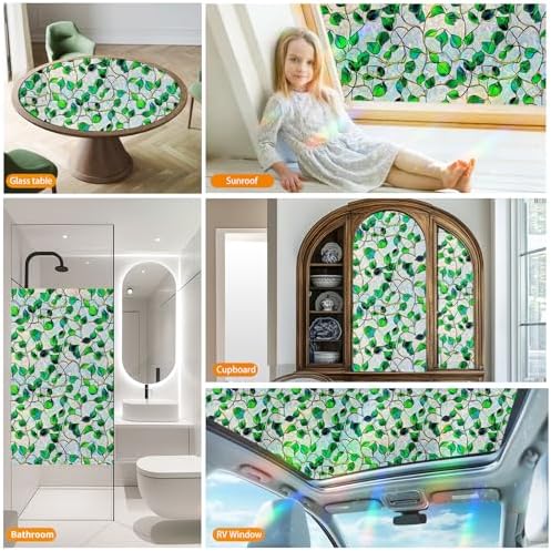 Somwise Window Privacy Film with Rainbow Holographic Effect