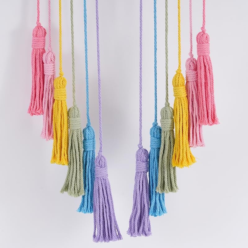 Honcas Rainbow Macrame Wall Hanging - Pink Tassel Decor