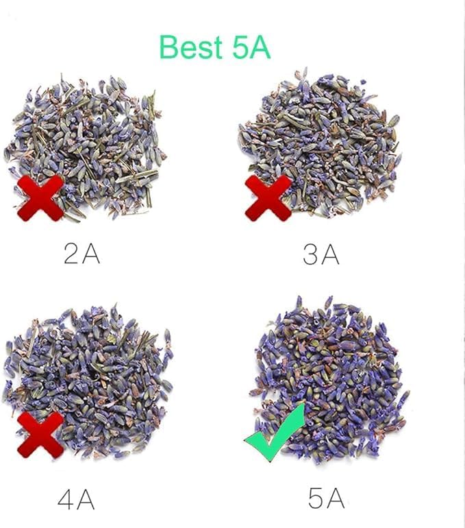 Lavender Sachets 25 Pack Fresh Home Fragrance