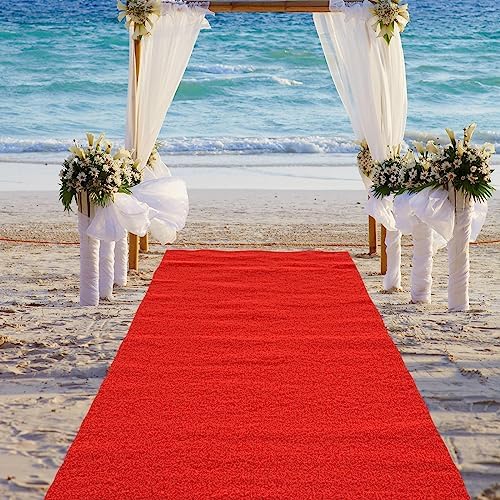 Timgle Red Carpet Runner 3 x 10 Feet Non Slip Kitchen Rug