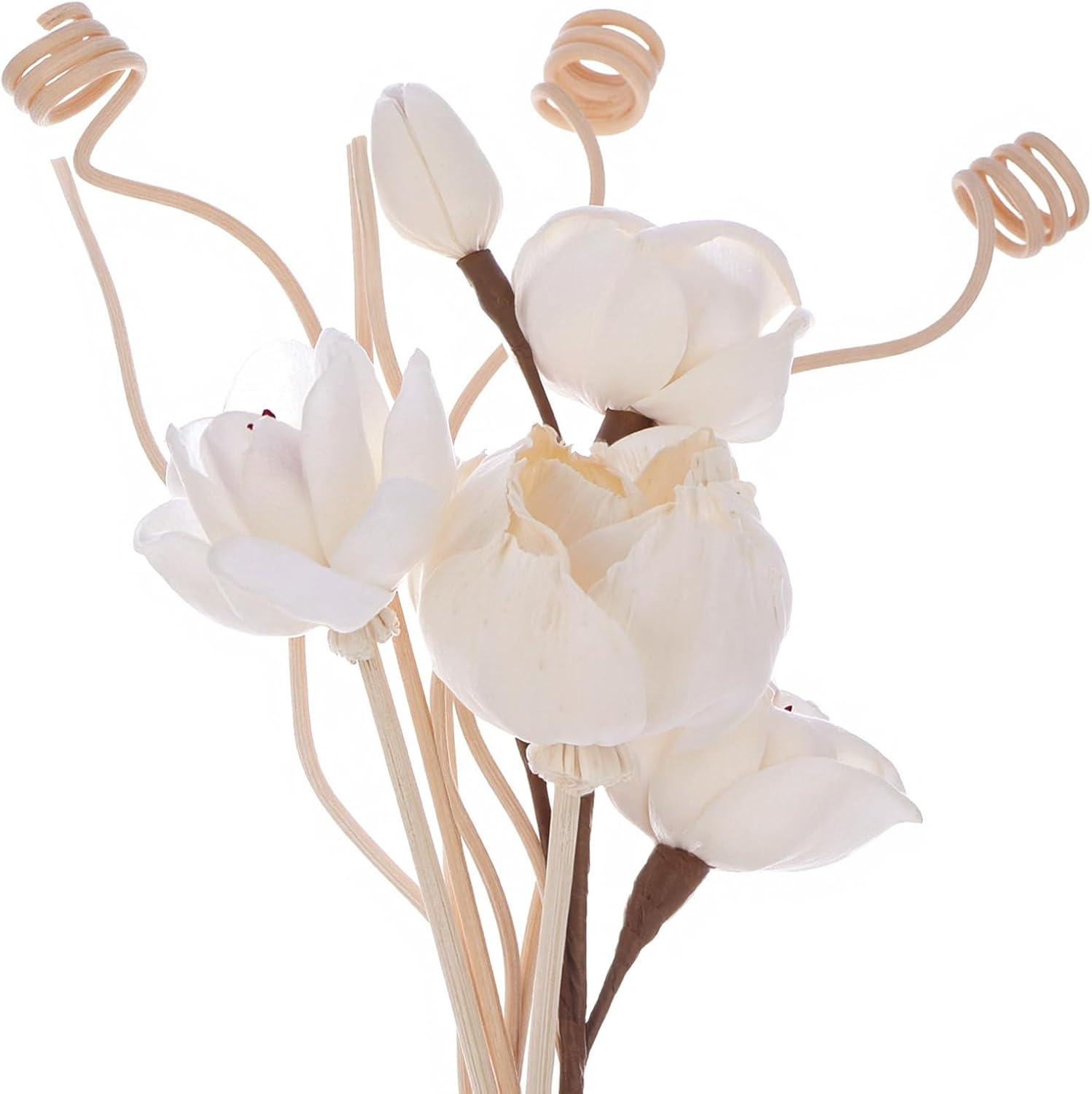 9 Pcs Reed Diffuser Sticks Set with Natural Rattan and Flower Designs