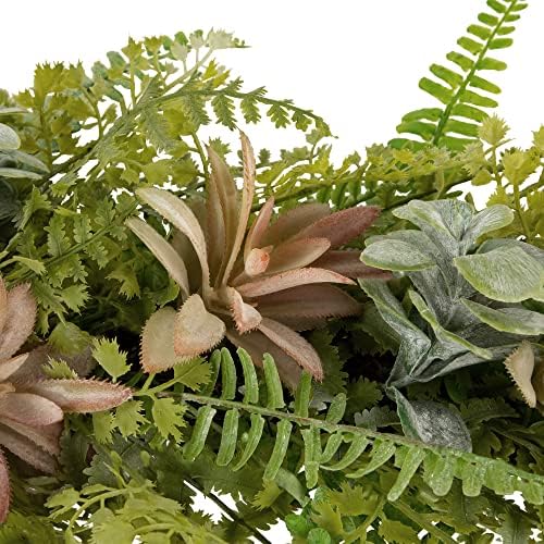 Northlight Fern and Succulents Artificial Spring Teardrop Swag 28 Inch