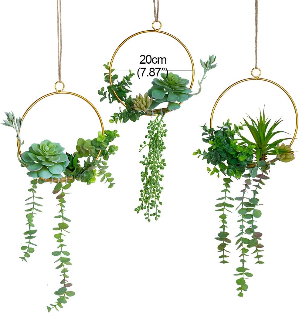 SWTHONY Artificial Succulents Wreath Set of 3 Hanging Wall Decor
