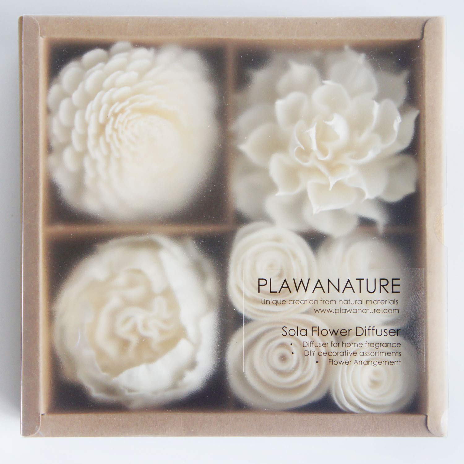 Mixed White Sola Flower with Cotton Wick Diffuser Set
