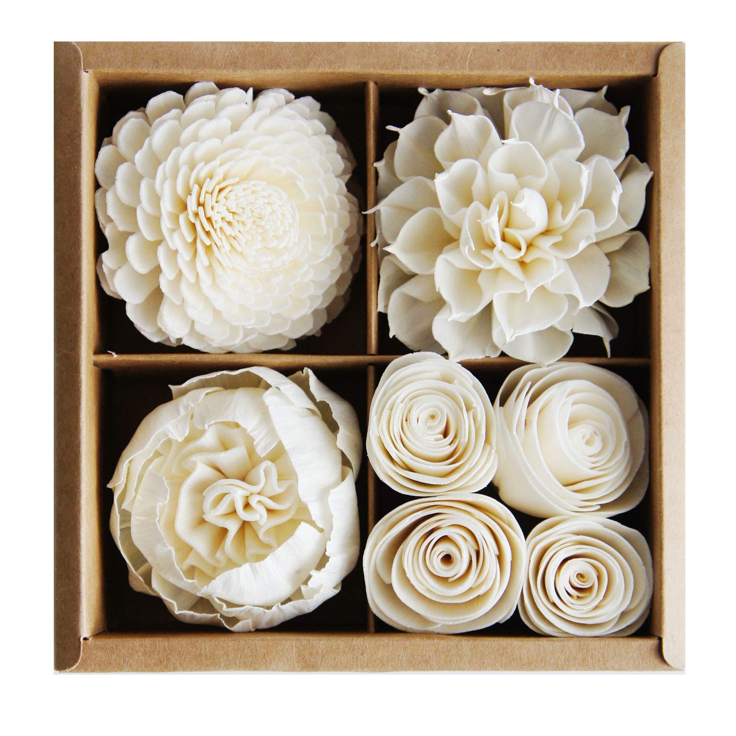 Mixed White Sola Flower with Cotton Wick Diffuser Set