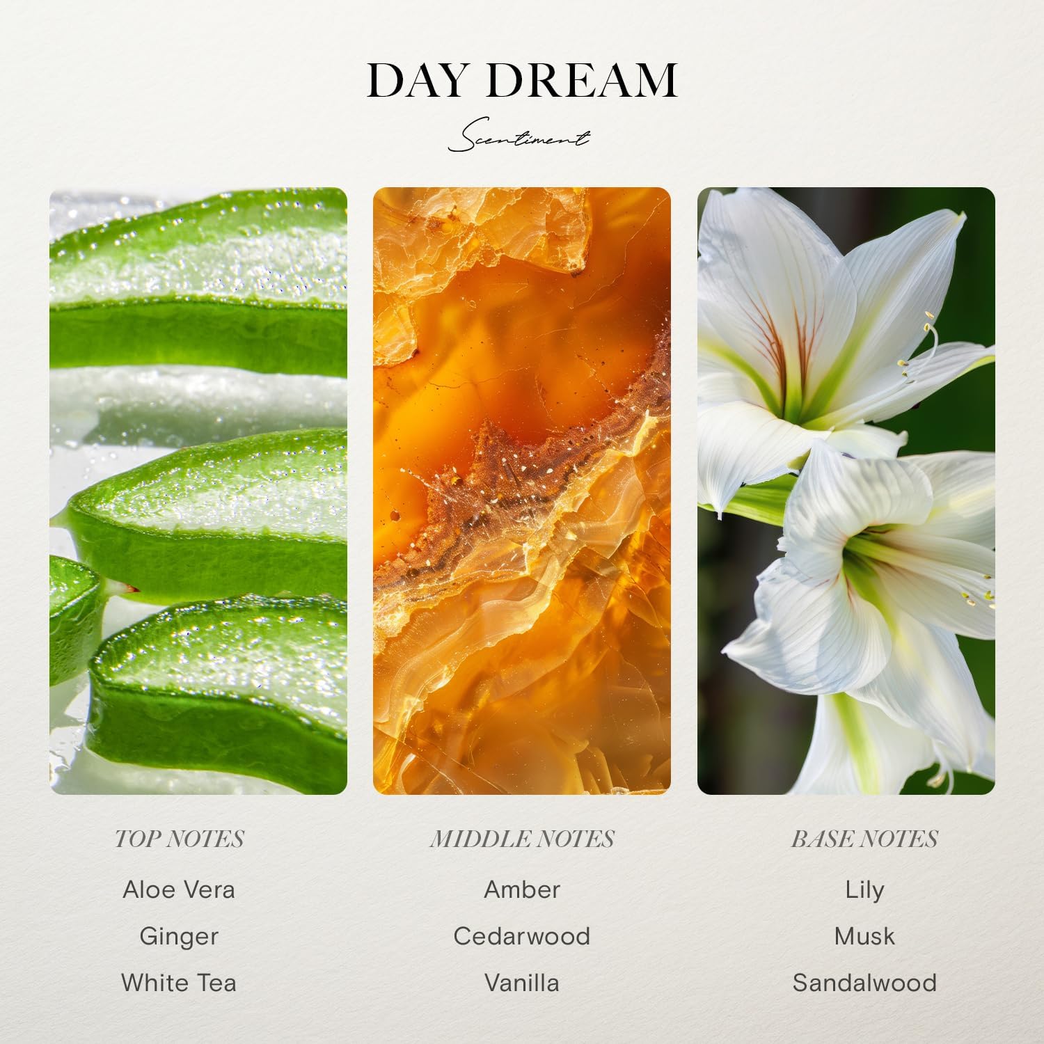 Scentiment Hotel Diffuser Oil Discovery Kit 5 Scents 20ml