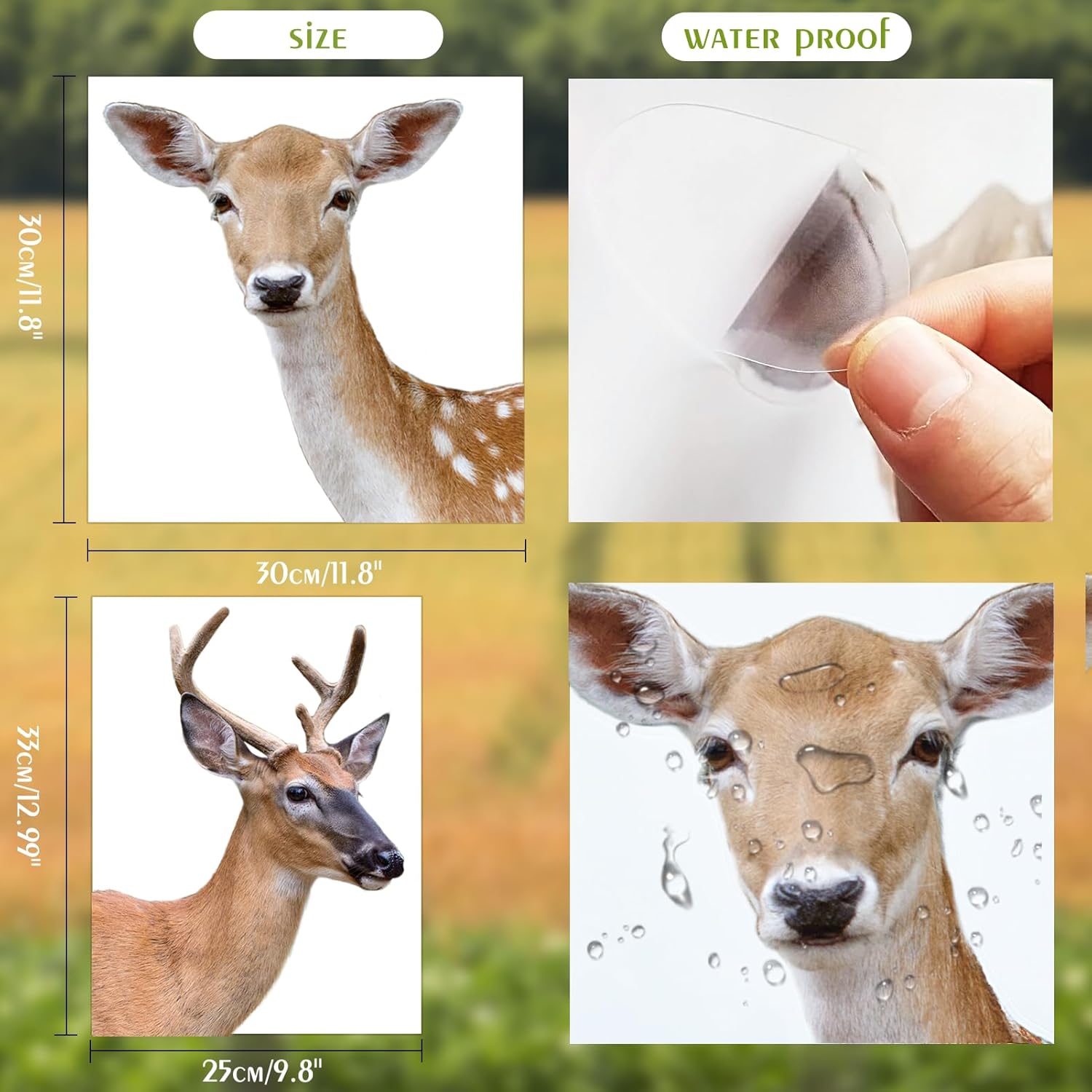 2 Pcs Funny Deer Wall Decal Window Sticker