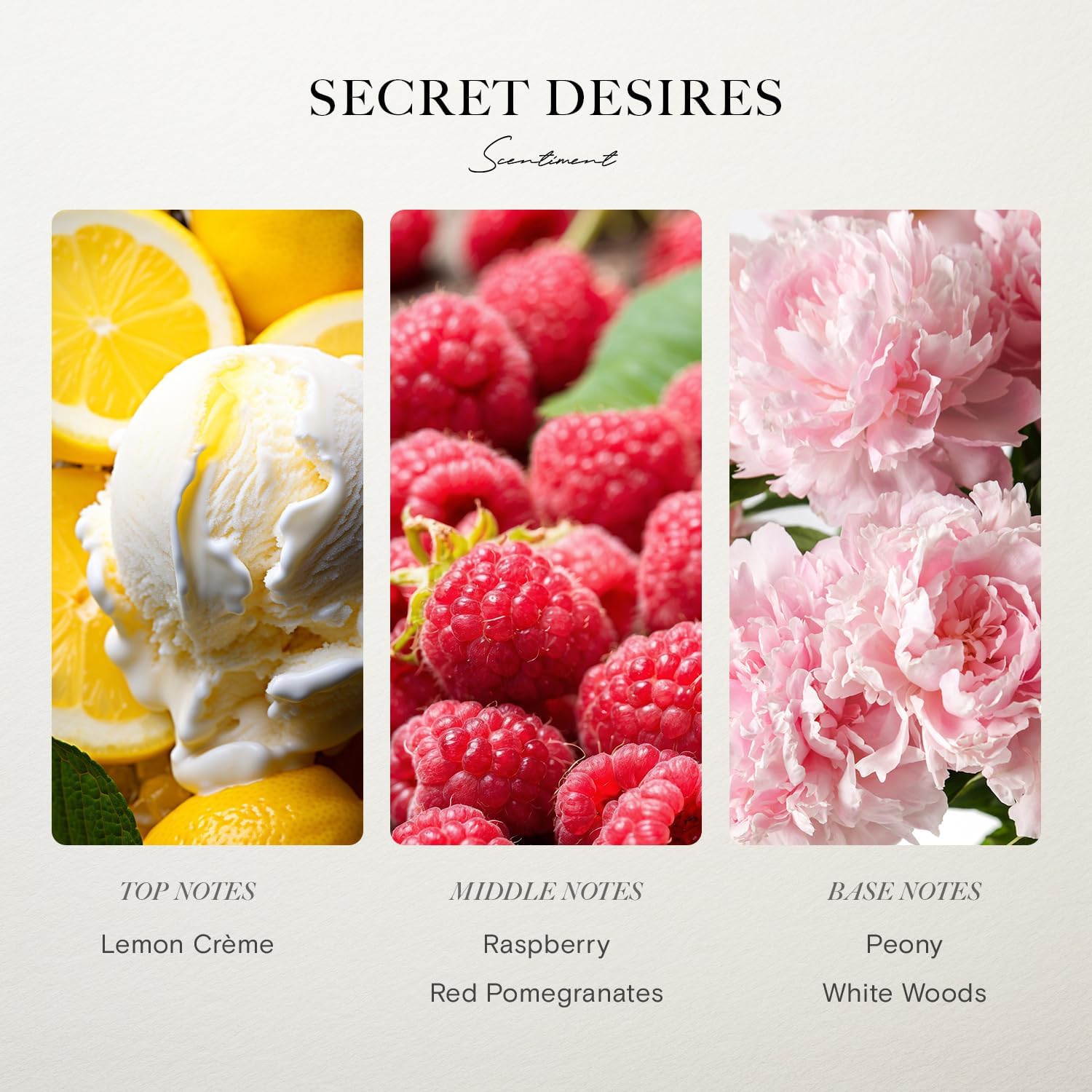 Scentiment Hotel Diffuser Oil Discovery Kit 5 Scents 20ml