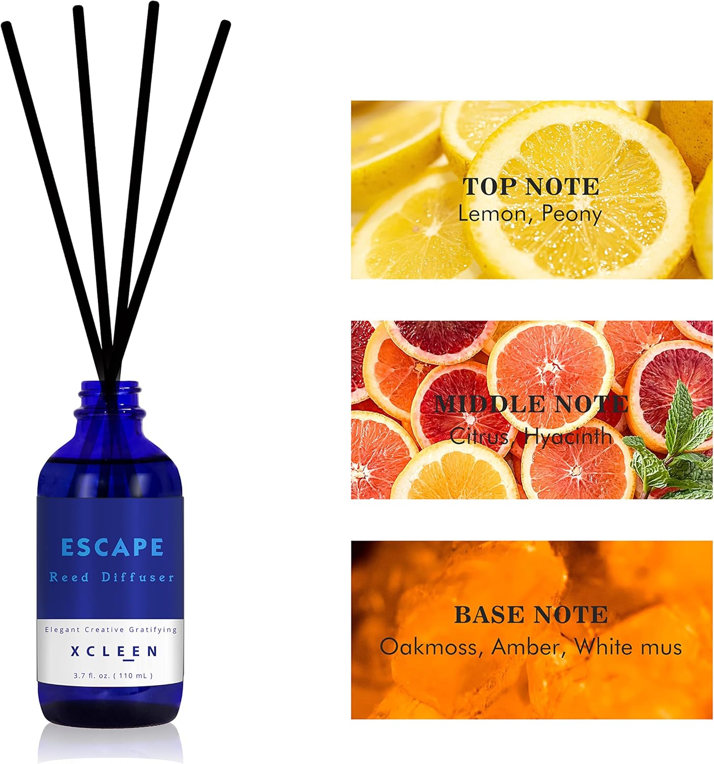 Xcleen Reed Diffuser Set with 6 Sticks and 37 Oz Oil