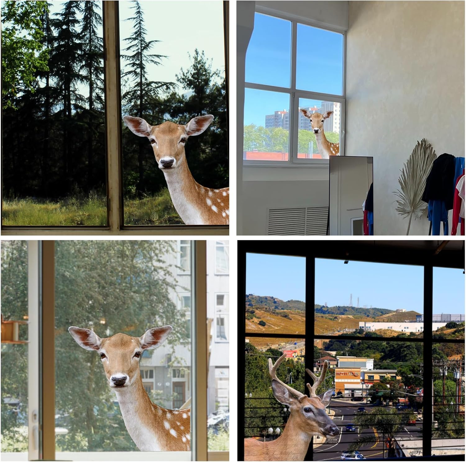 2 Pcs Funny Deer Wall Decal Window Sticker