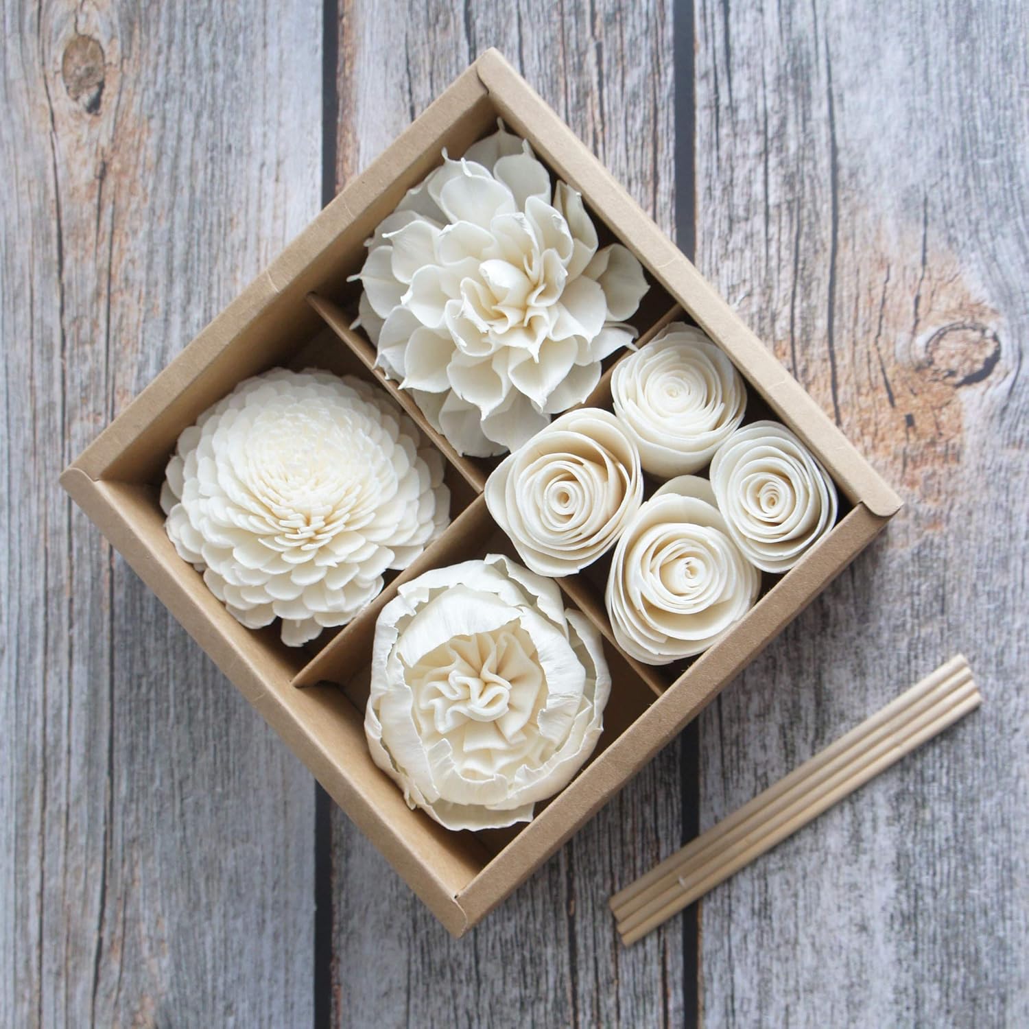 Mixed White Sola Flower with Cotton Wick Diffuser Set